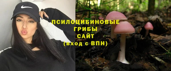 дурь Алексеевка