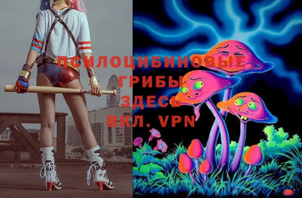 молекула духа Алексин