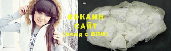 прущие грибы Покров