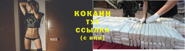 ешки Арсеньев