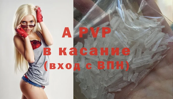 стаф Покачи